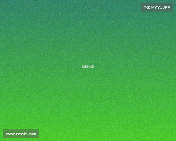 墨尔本港vs休城